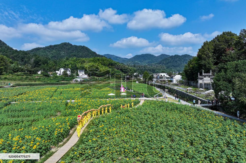 Straw-Woven Dragon Performance - China