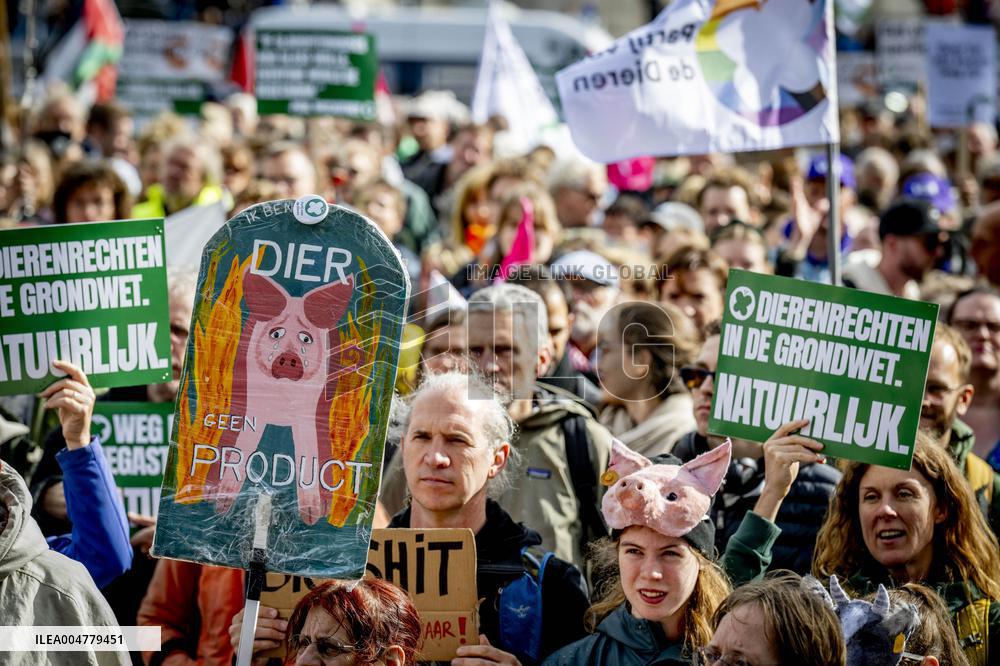 Protest Against The Livestock Industry - Amsterdam