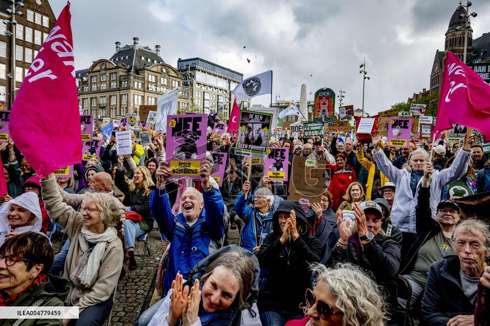 Protest Against The Livestock Industry - Amsterdam