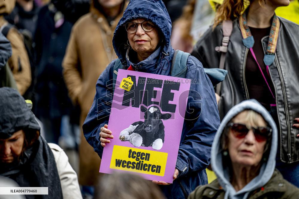Protest Against The Livestock Industry - Amsterdam