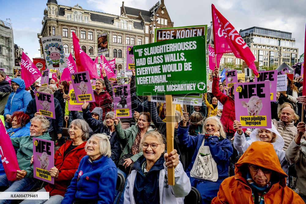 Protest Against The Livestock Industry - Amsterdam