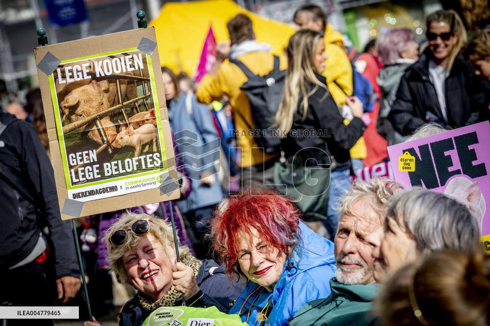 Protest Against The Livestock Industry - Amsterdam