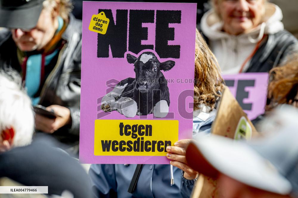 Protest Against The Livestock Industry - Amsterdam
