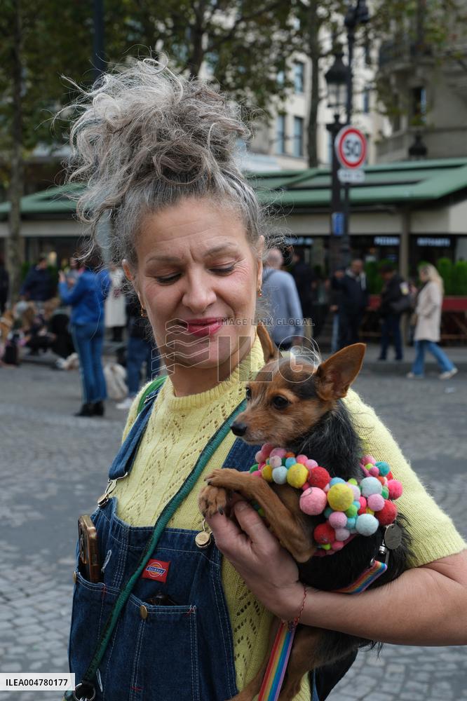 Animal Walk on the Avenue Des Champs Elysees - Paris