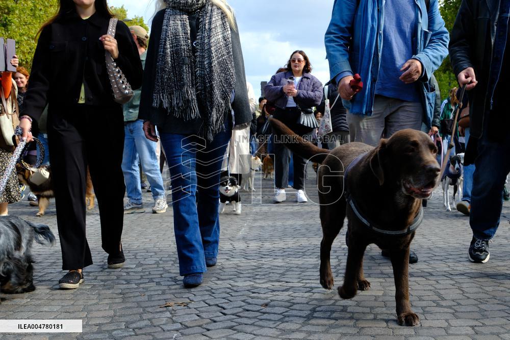 Animal Walk on the Avenue Des Champs Elysees - Paris