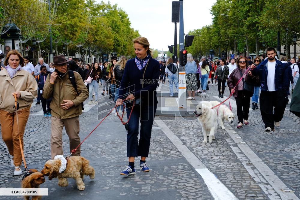 Animal Walk on the Avenue Des Champs Elysees - Paris