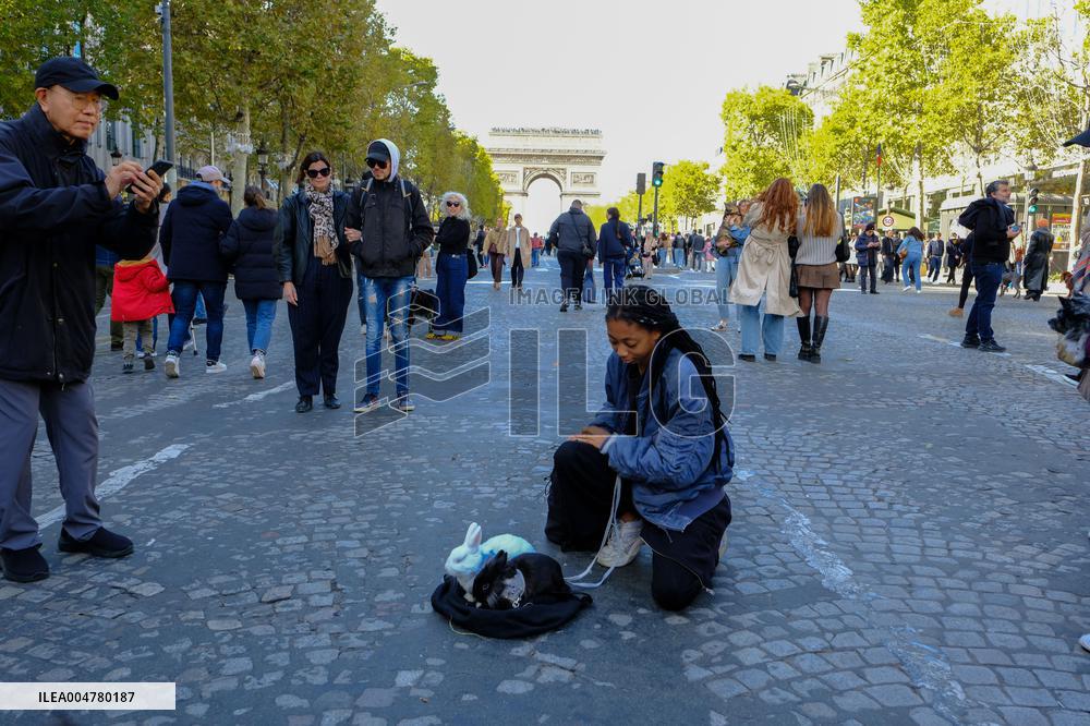 Animal Walk on the Avenue Des Champs Elysees - Paris