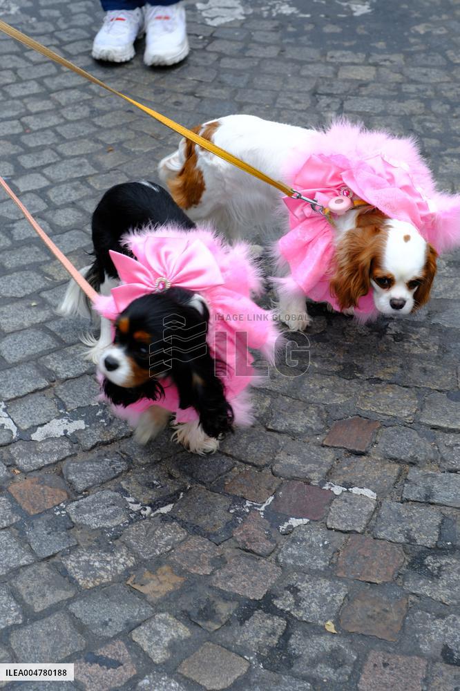 Animal Walk on the Avenue Des Champs Elysees - Paris