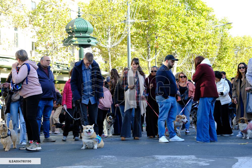 Animal Walk on the Avenue Des Champs Elysees - Paris