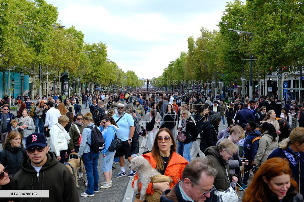 Animal Walk on the Avenue Des Champs Elysees - Paris
