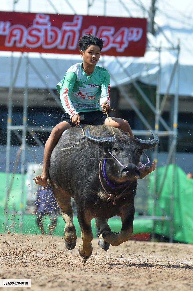 Buffalo Racing - Thailand