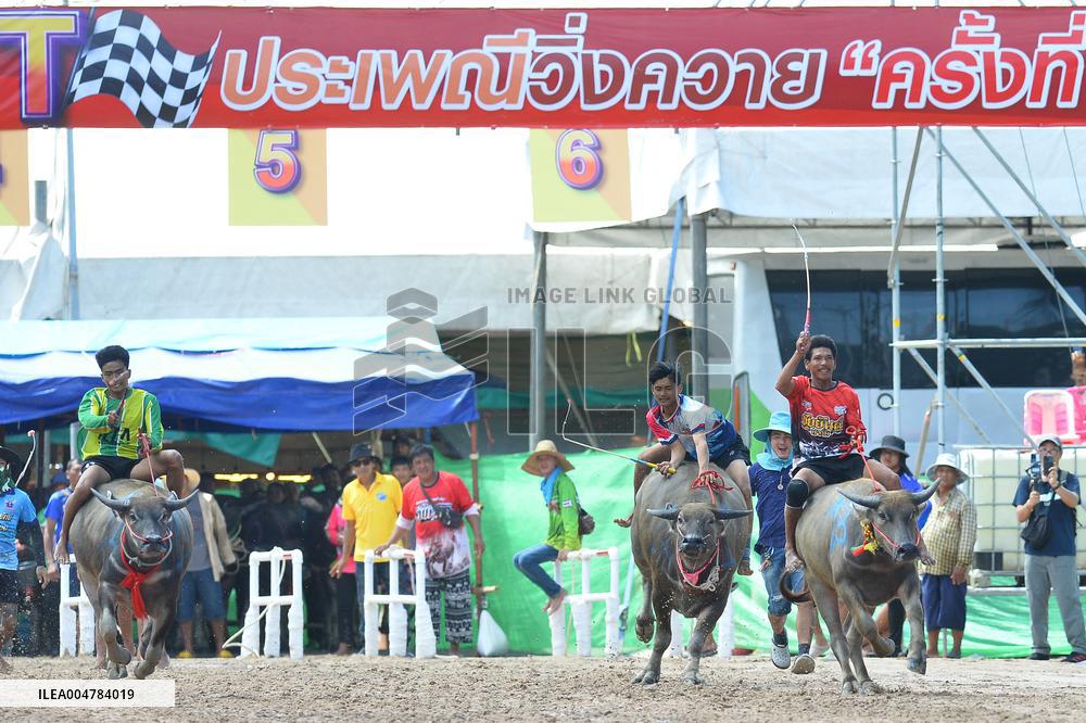Buffalo Racing - Thailand