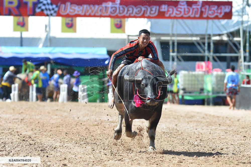 Buffalo Racing - Thailand