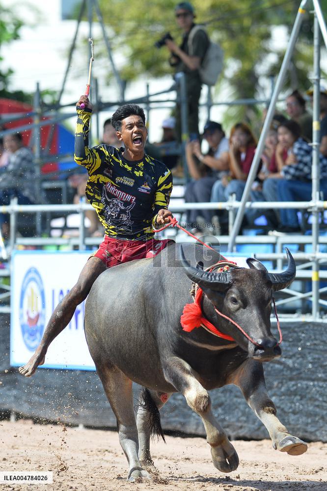 Buffalo Racing - Thailand