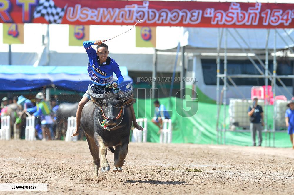 Buffalo Racing - Thailand