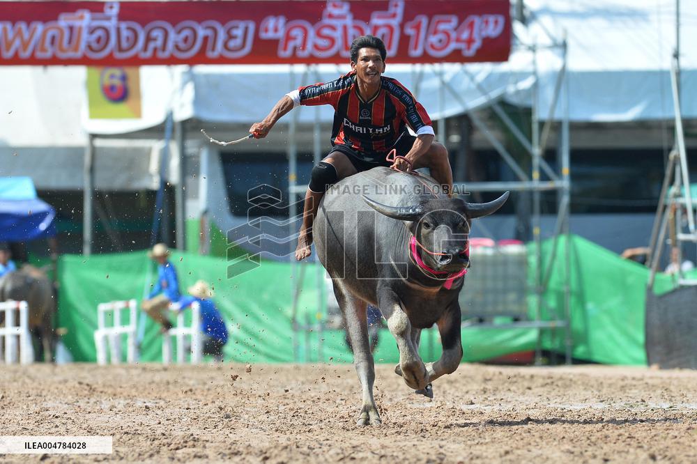 Buffalo Racing - Thailand