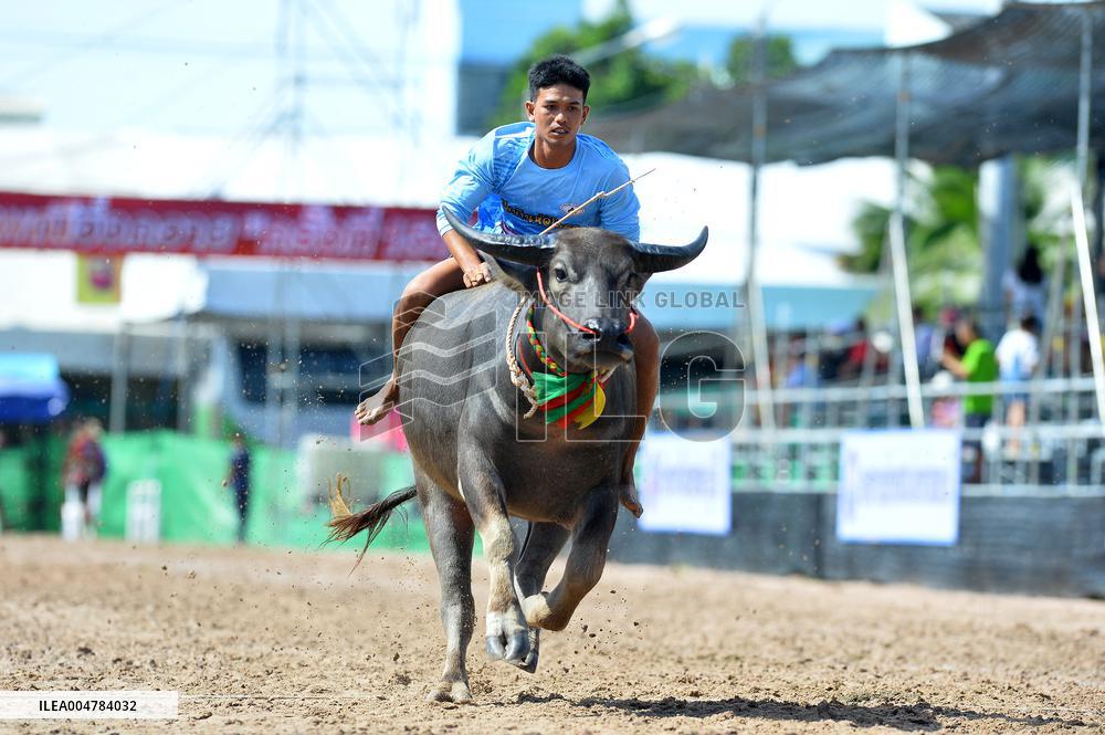 Buffalo Racing - Thailand