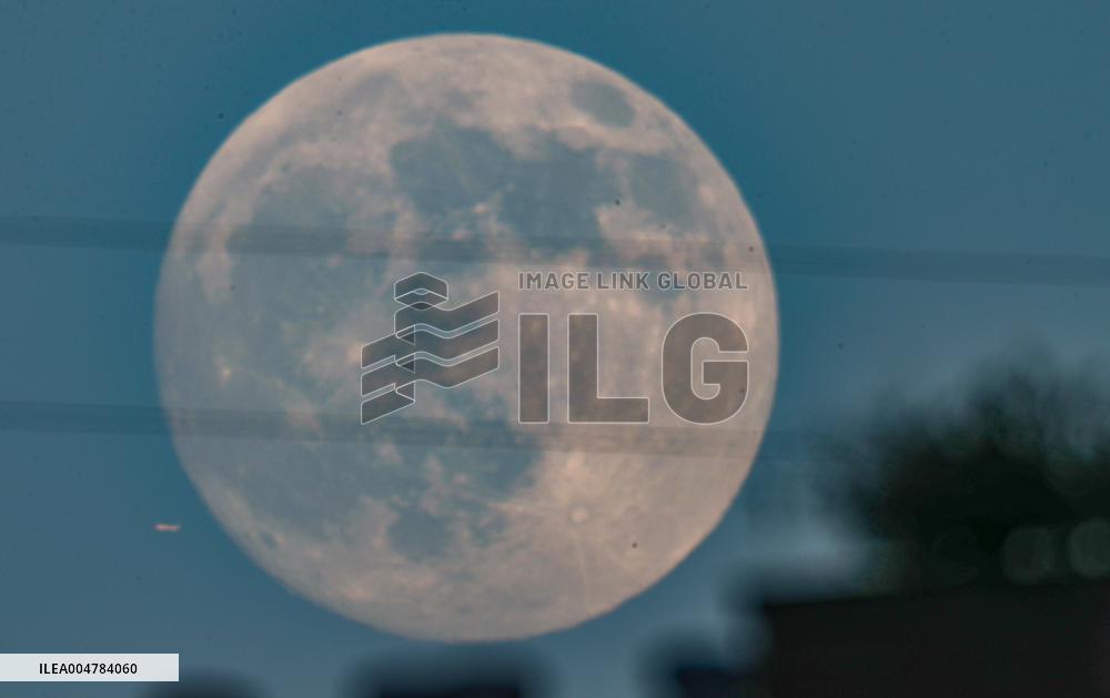 Mid-Autumn Festival Round Moon