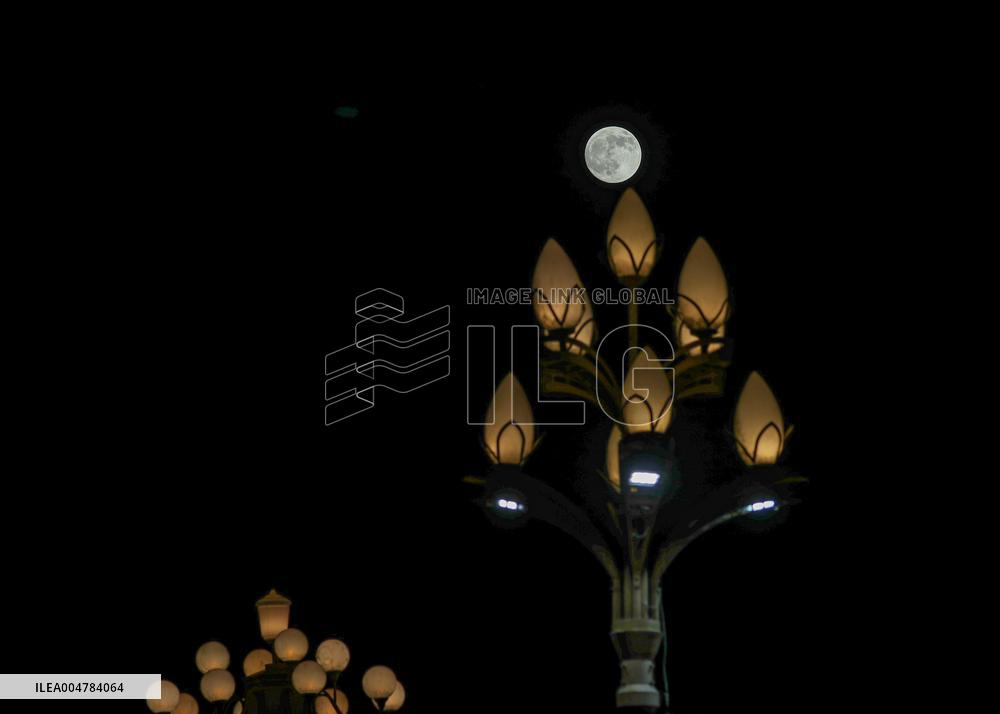 Mid-Autumn Festival Round Moon