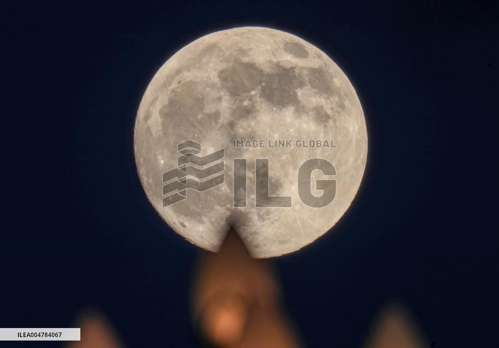 Mid-Autumn Festival Round Moon