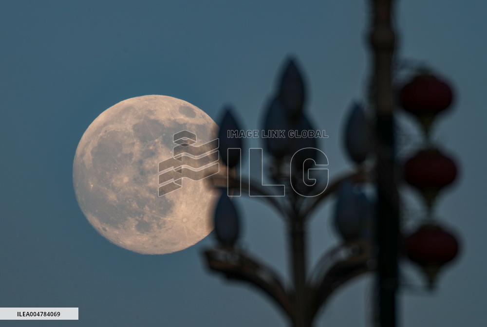 Mid-Autumn Festival Round Moon