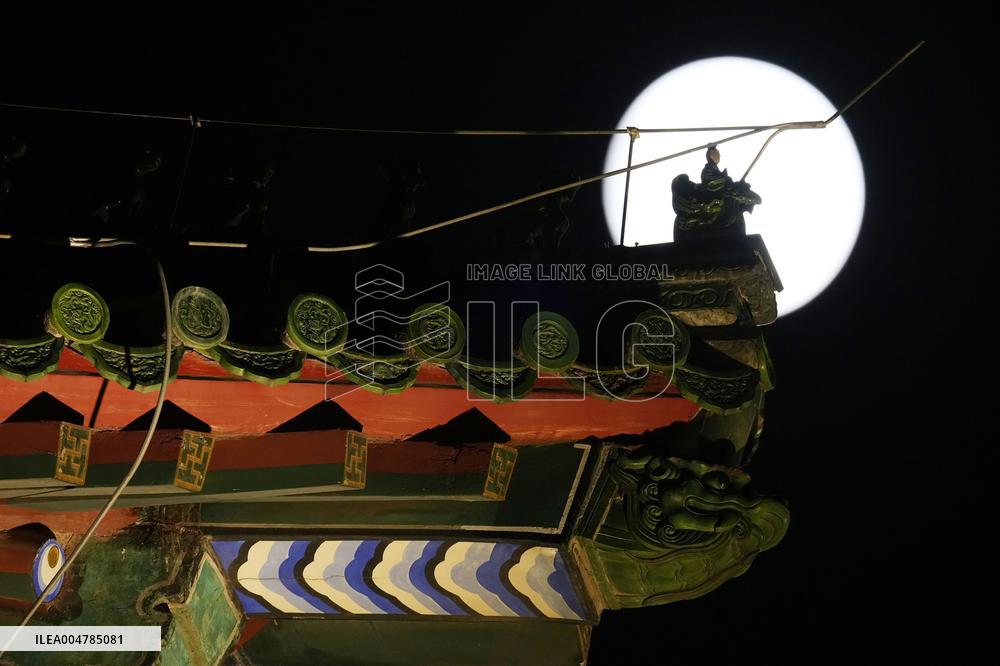 Harvest moon