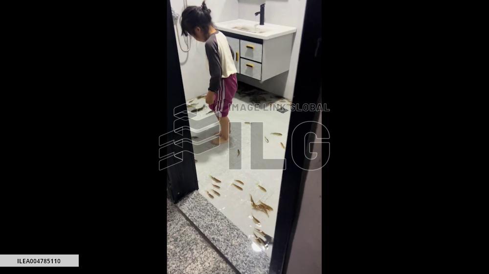 China: Girl Turns Bathroom Into Aquarium in Zhejiang