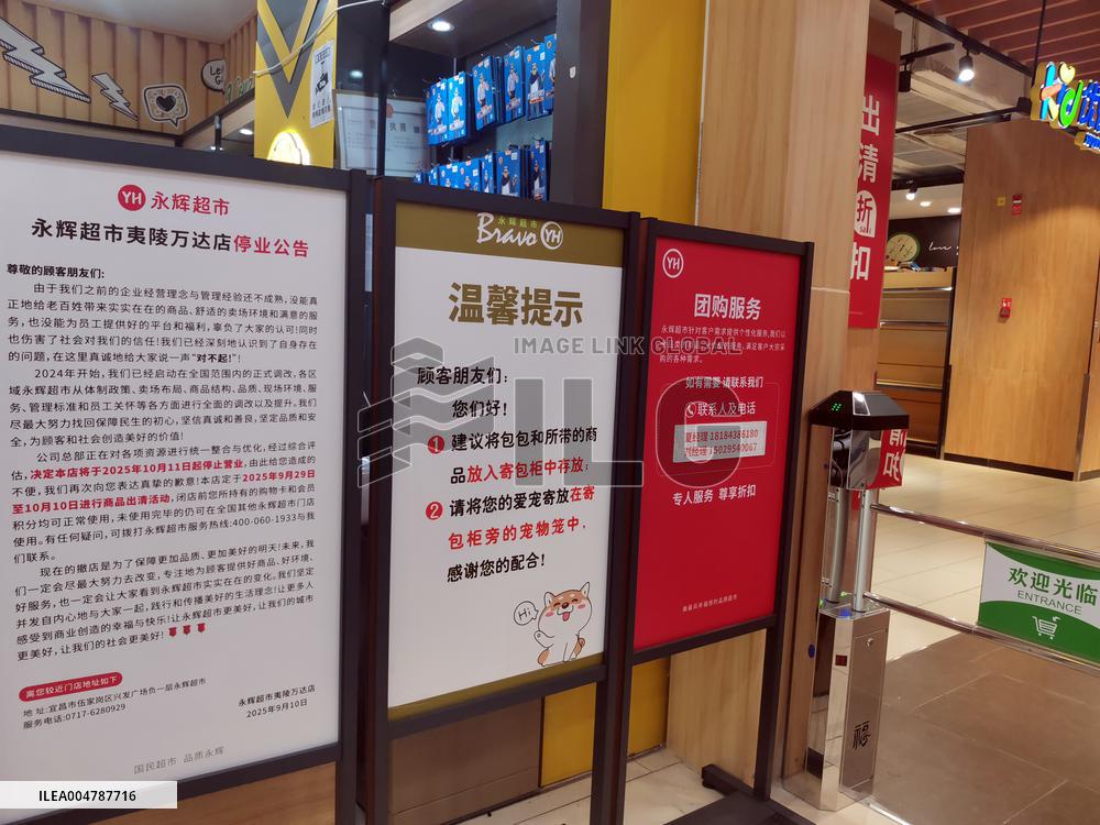 Offline Supermarkets Survival Status