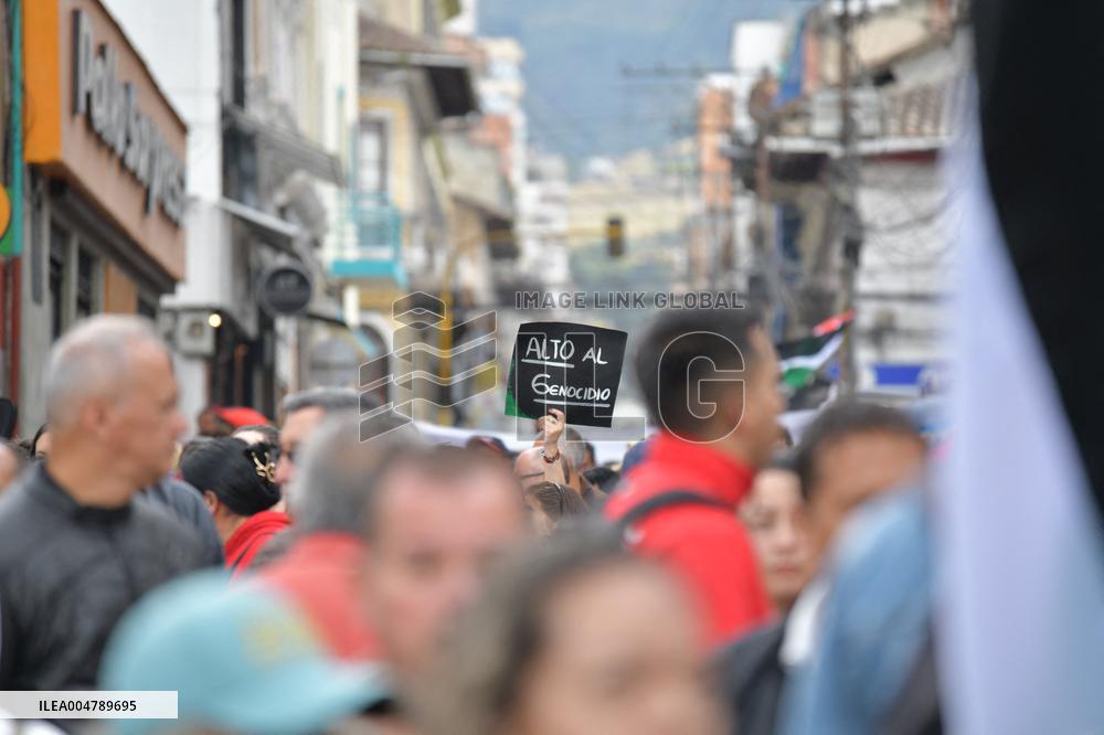 Pro-Palestine Demonstrations on the Two-year Israel Attack by Hamas