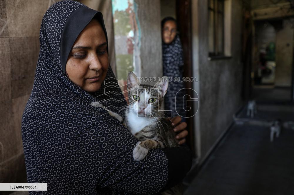 Volunteer Veterinarians Treat Animals in The Gaza Strip
