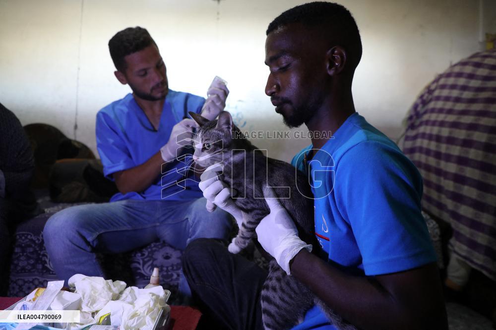 Volunteer Veterinarians Treat Animals in The Gaza Strip