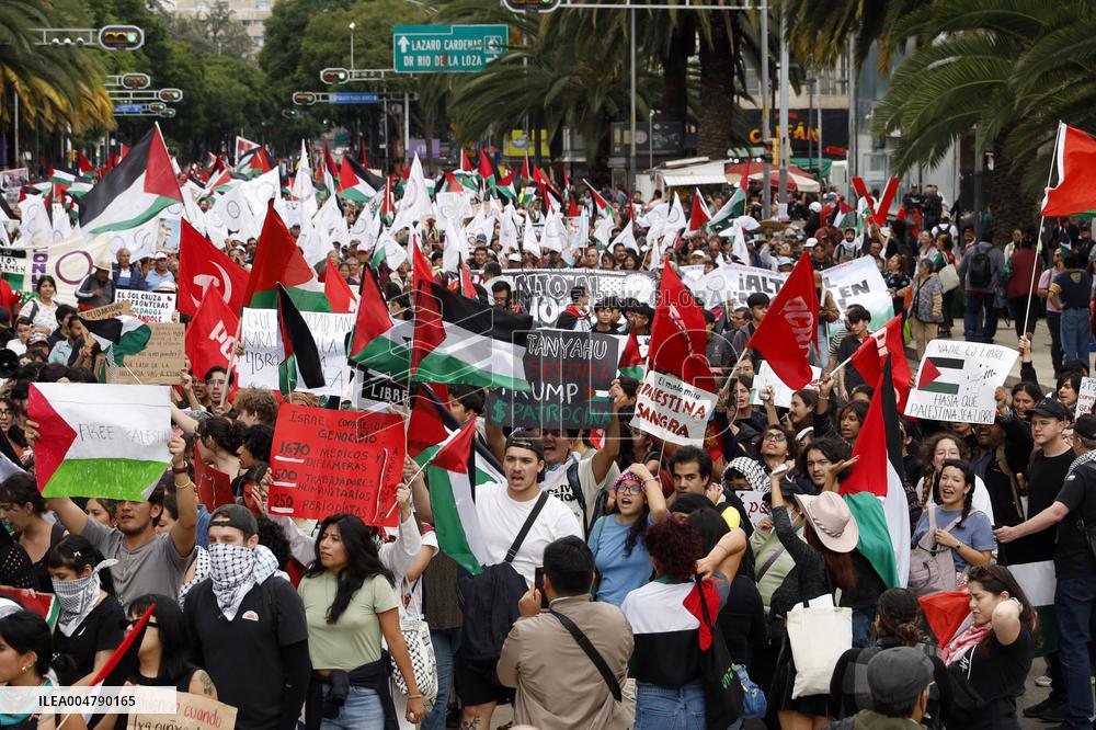 Demonstrator for a Free Palestine State - Mexico City