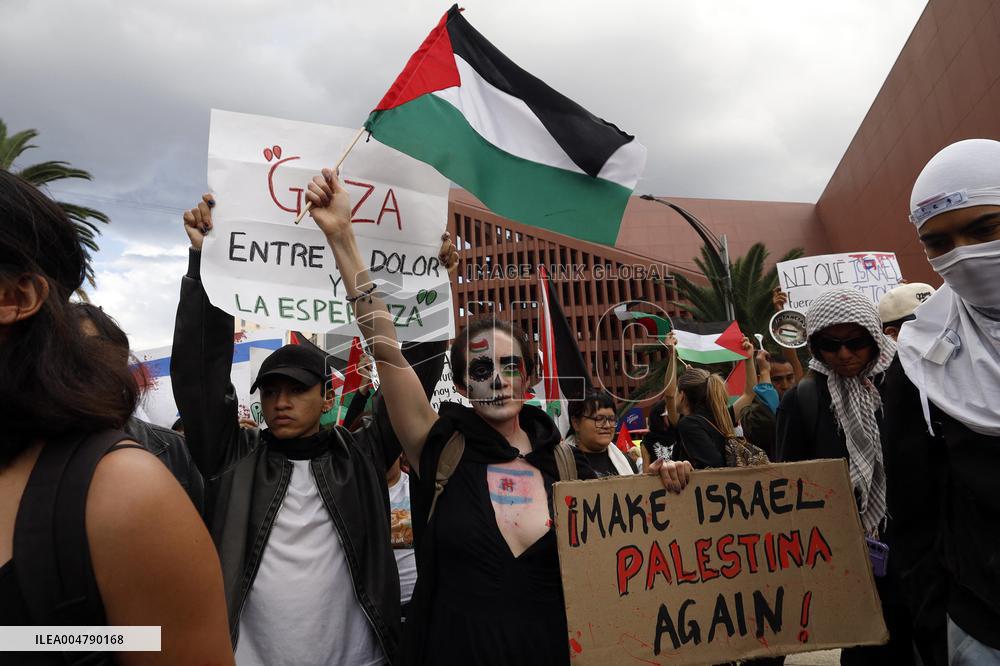 Demonstrator for a Free Palestine State - Mexico City