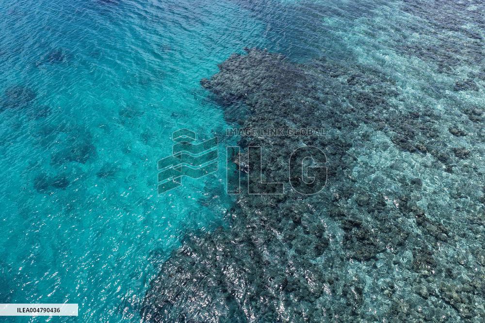 Huangyan Dao National Nature Reserve - China