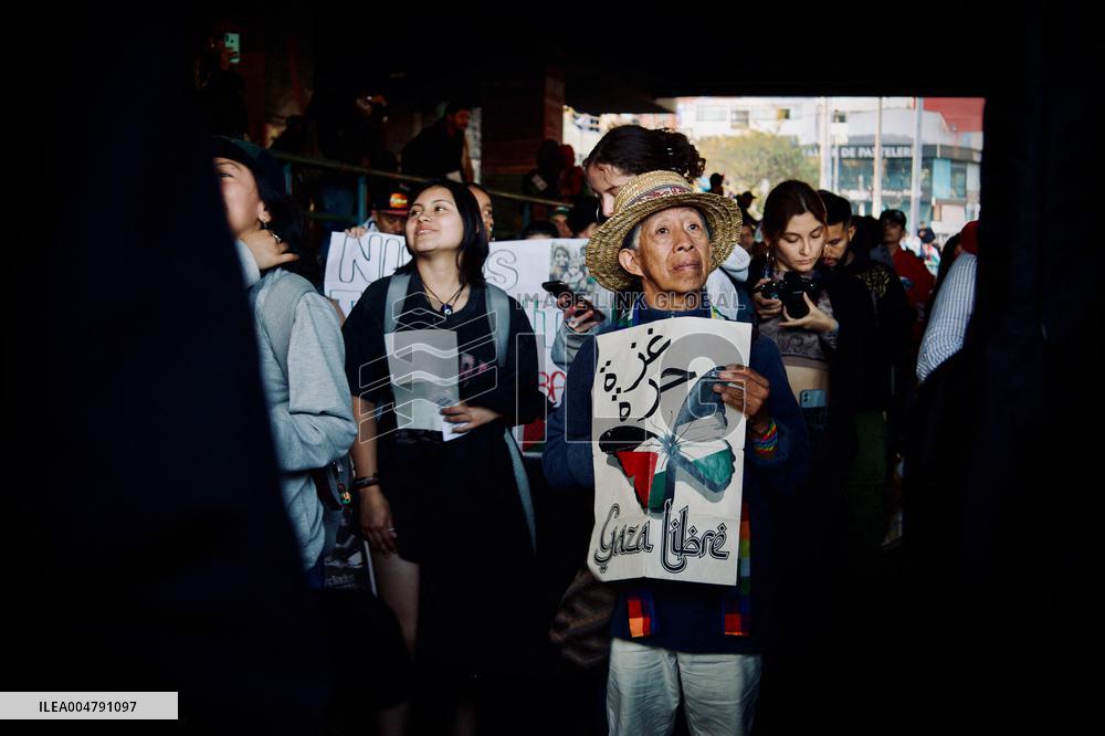 Pro-Palestine Demonstrations on the Two-year Israel Attack by Hamas