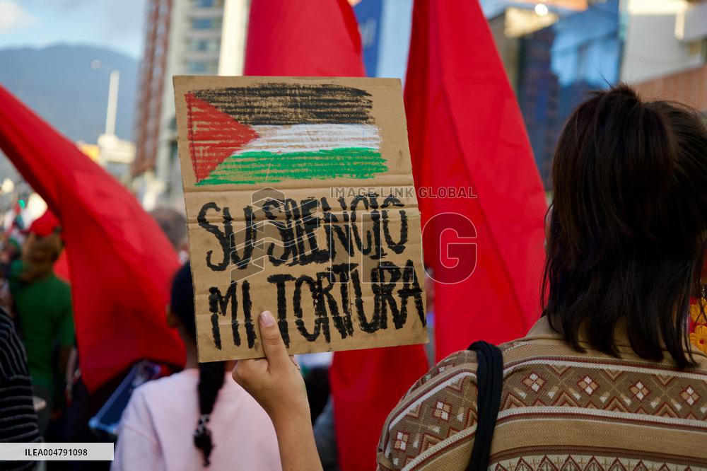 Pro-Palestine Demonstrations on the Two-year Israel Attack by Hamas