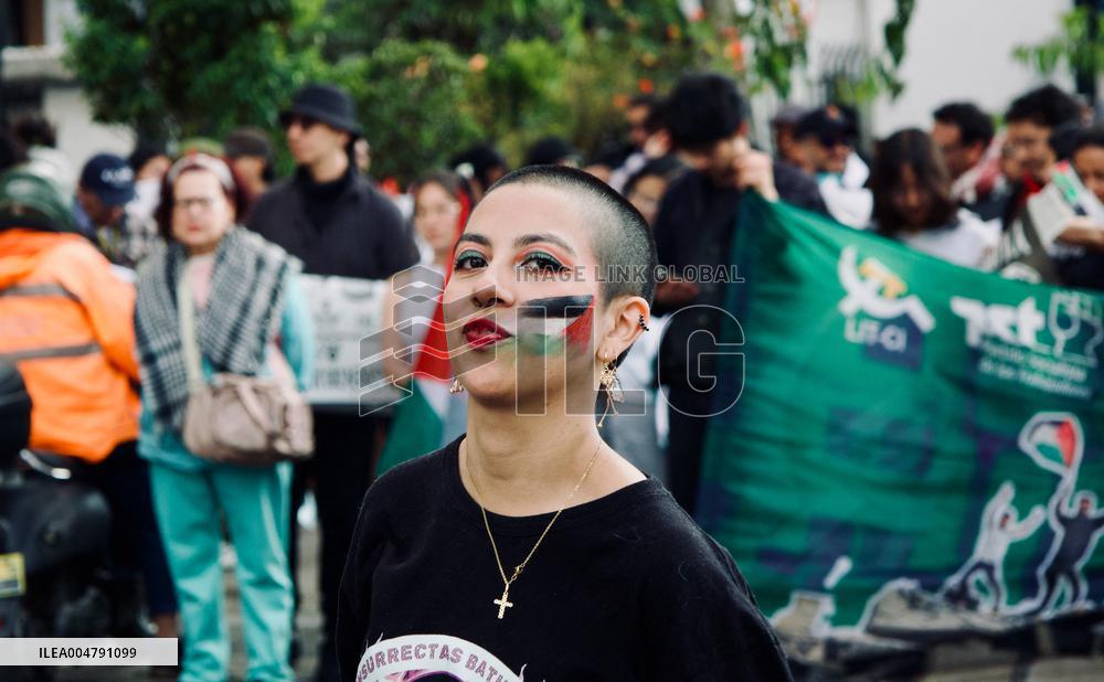 Pro-Palestine Demonstrations on the Two-year Israel Attack by Hamas