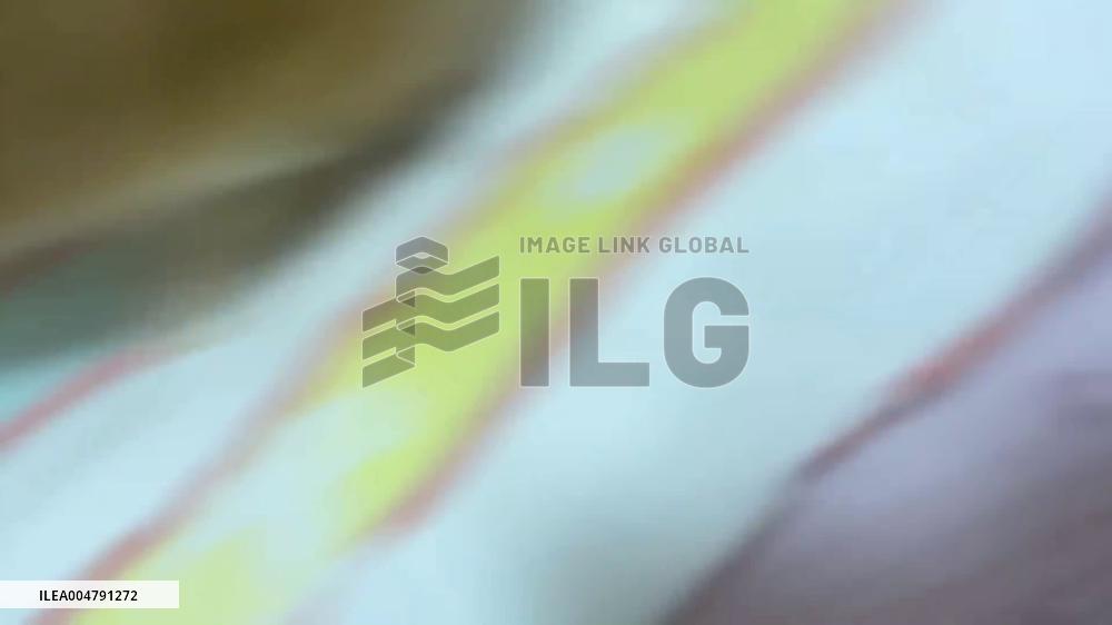 China: Clever Rabbit Rolls Up Blanket Neatly on Bed in Shandong