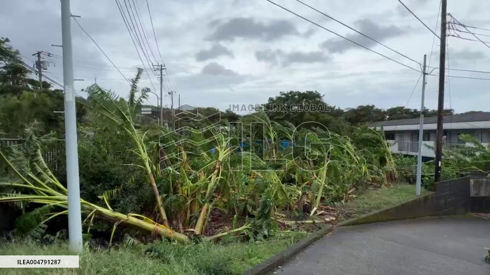 Japan: Typhoon Halong Leaves Trail of Damage