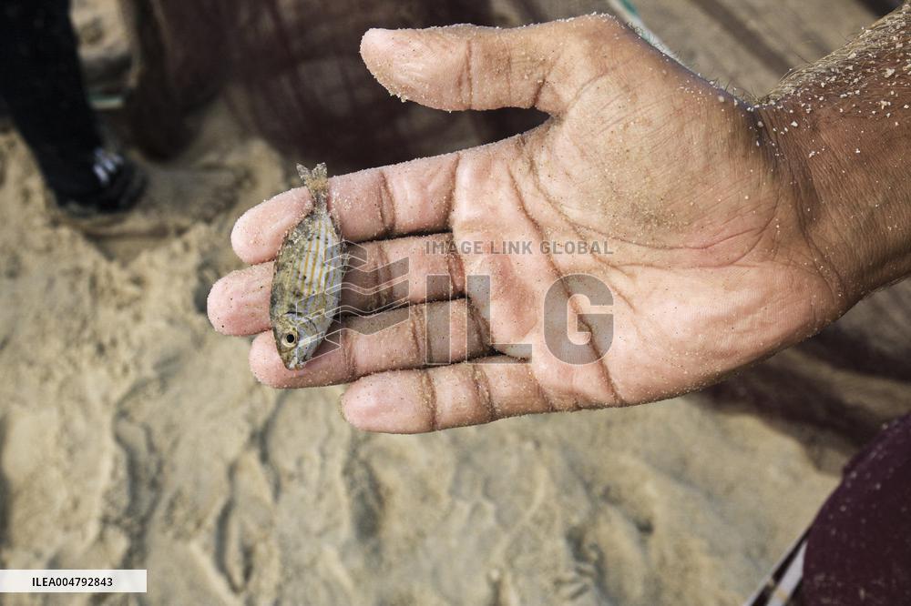 Gaza Fishermen Seek Livelihood Daily