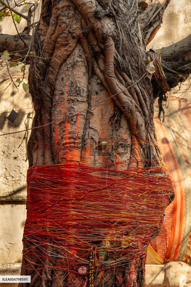 Daily Life in Varanasi - India