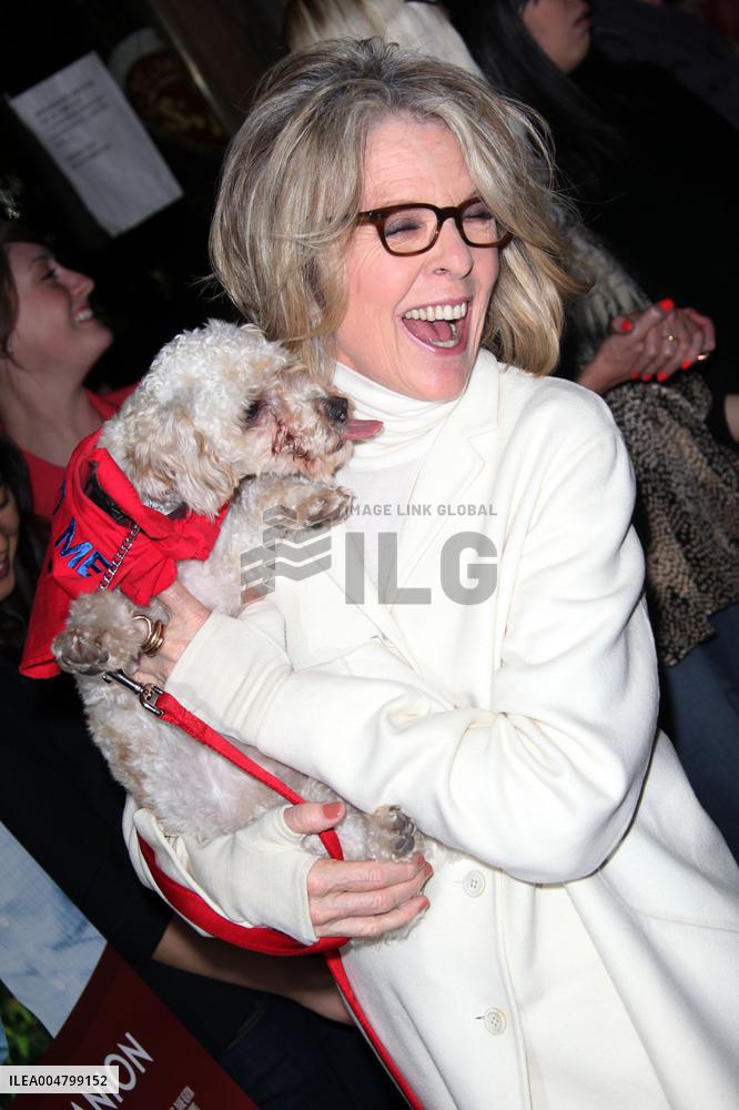 Darling Companion Premiere - Los Angeles