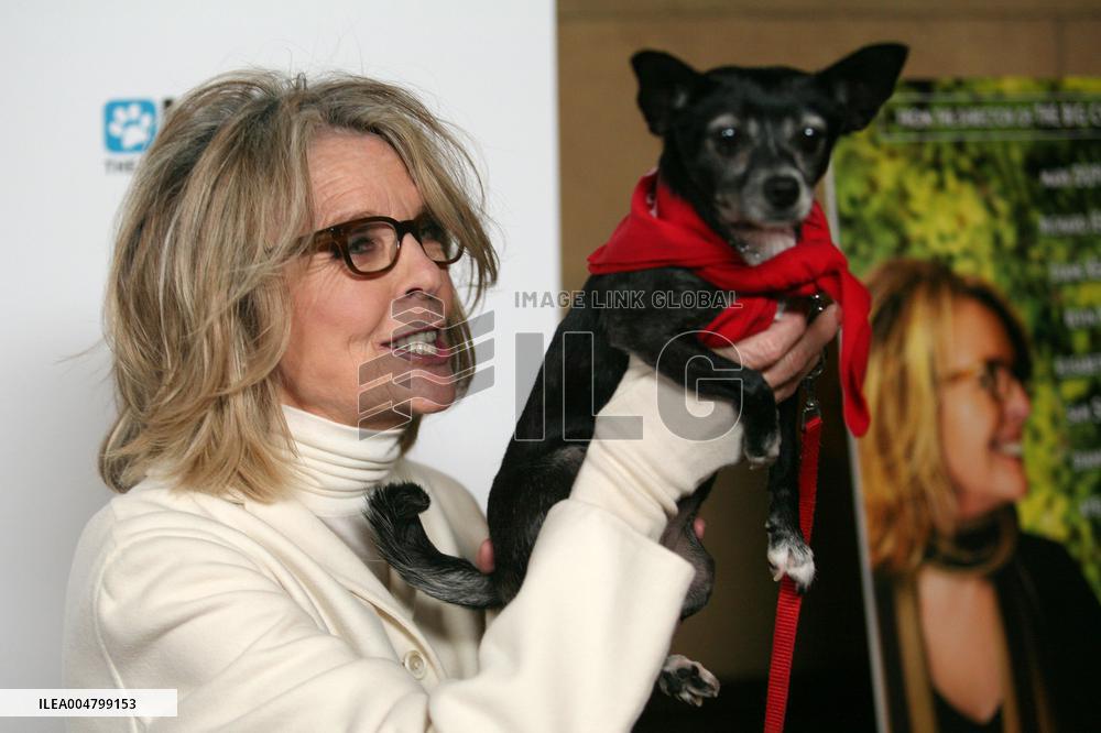Darling Companion Premiere - Los Angeles