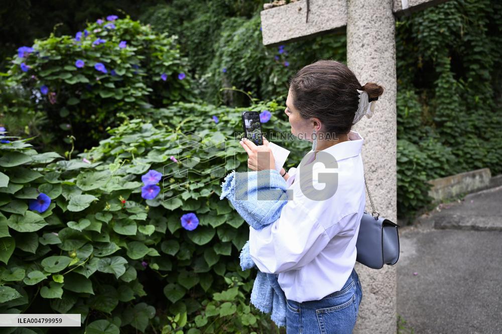 THE CROWN PRINCESS COUPLE ON NAOSHIMA ISLAND