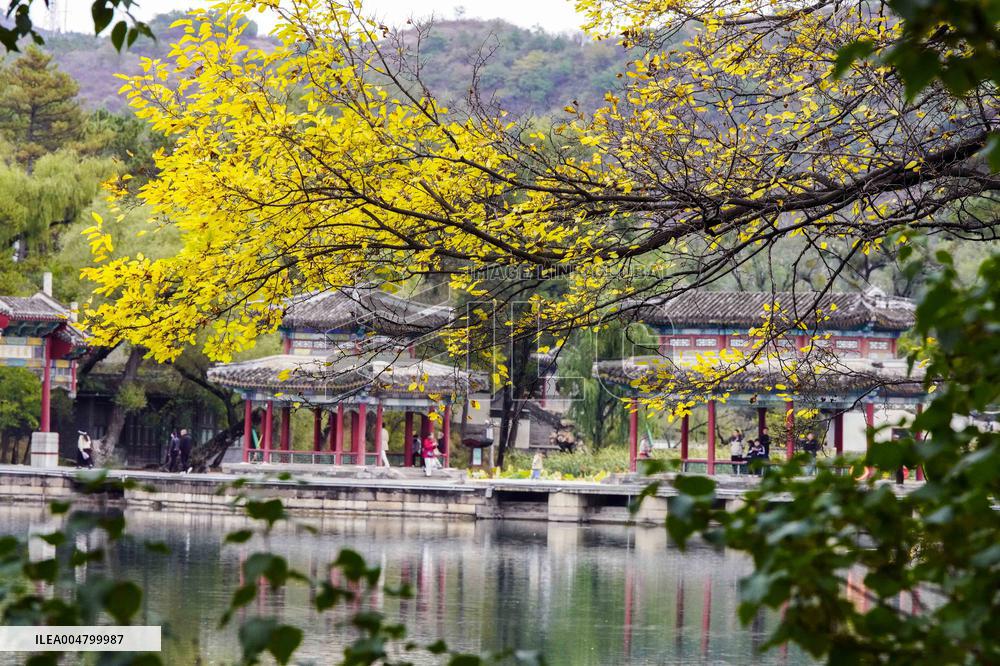 Autumn Scenery - China
