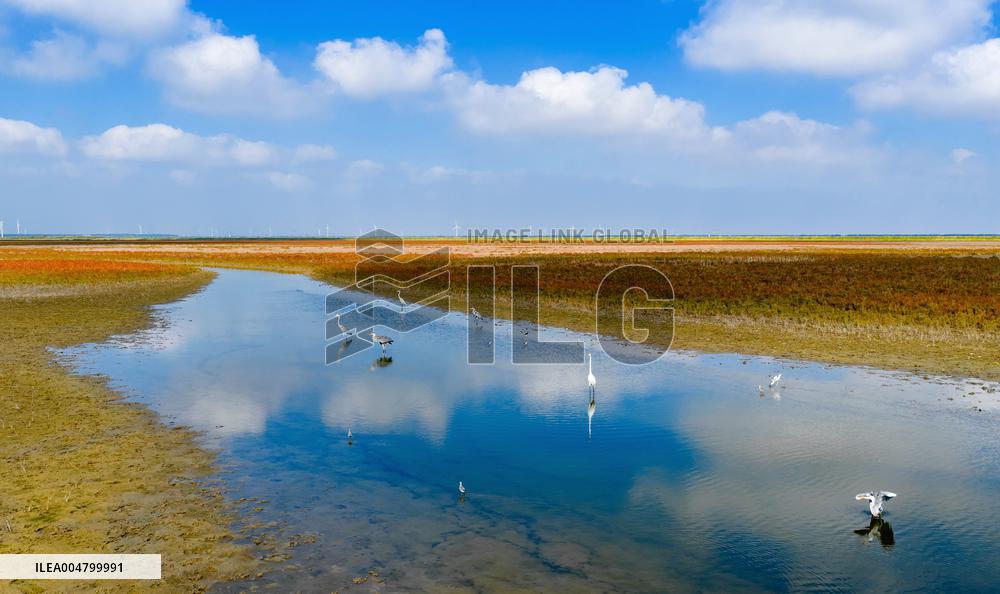 Autumn Scenery - China