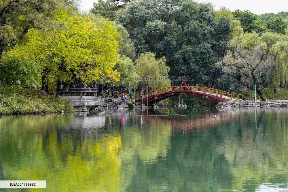Autumn Scenery - China