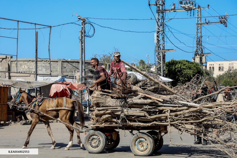 Displaced Palestinians Returning North After Ceasefire - Gaza