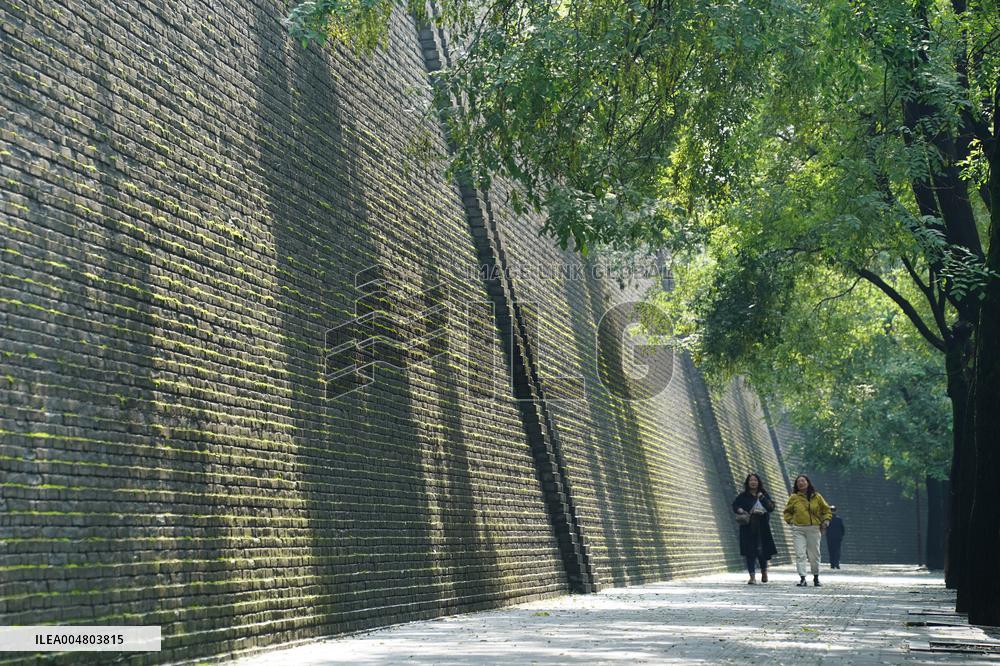 Plants Have Covered the City Walls with A Green Coat - China