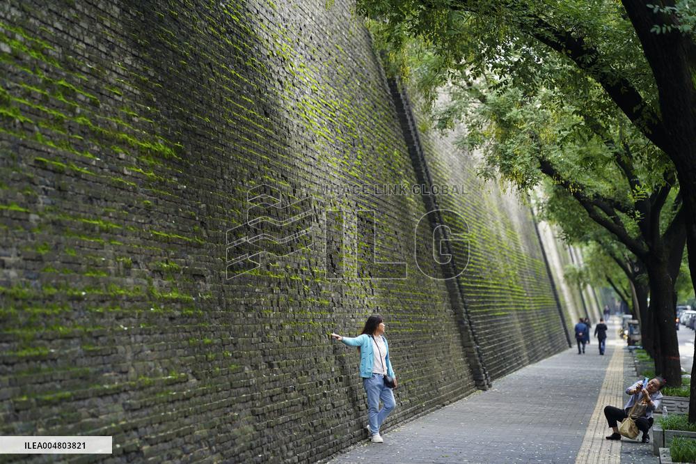 Plants Have Covered the City Walls with A Green Coat - China